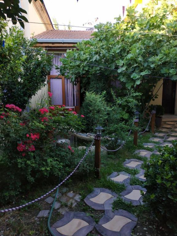 סמרקנד Sim-Sim Hostel & Backpackers מראה חיצוני תמונה